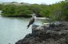Najlepszy czas na odwiedzenie Wysp Galapagos