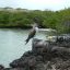 Najlepszy czas na odwiedzenie Wysp Galapagos