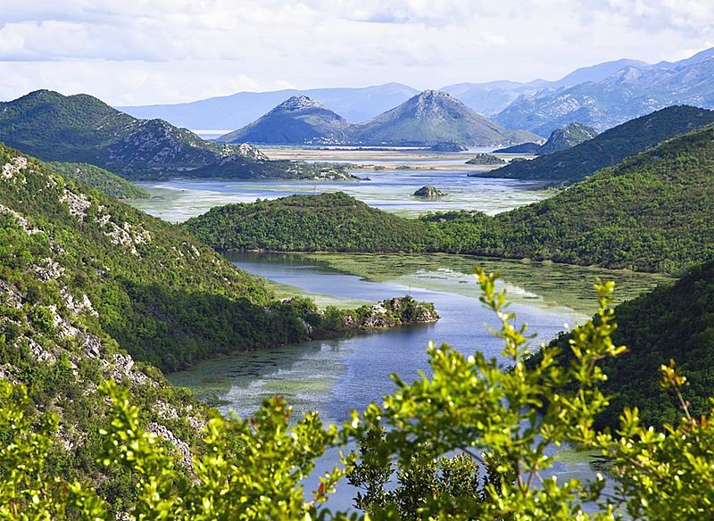 albania jezioro szkoderskie