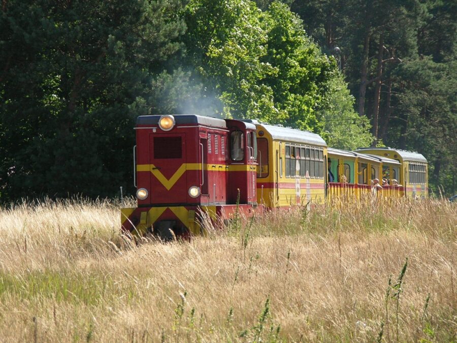 Żuławska Kolej Dojazdowa to najdłuższa wąskotorowa linia kolejowa w Polsce, która przez ponad 100 lat łączyła małe wsie i miasteczka na Żuławach Wiślanych.