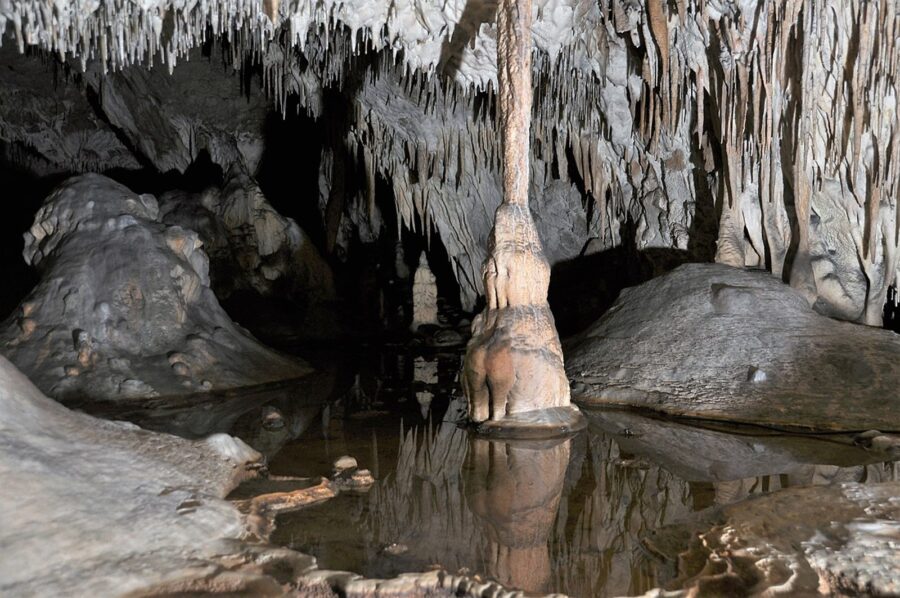 Jaskinia Raj, położona w pobliżu Chęcin w Polsce, jest znana ze swoich spektakularnych stalaktytów i stalagmitów, które tworzą unikalne formacje przypominające wnętrze gotyckiej katedry.