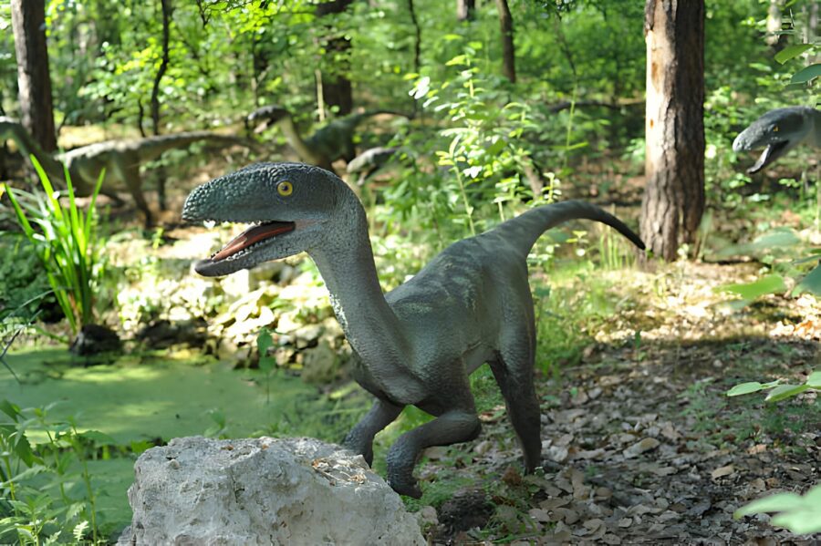 
Bałtowski Park Jurajski, położony w Bałtowie w Polsce, jest największym parkiem dinozaurów w kraju, oferującym realistyczne modele prehistorycznych stworzeń w naturalnych rozmiarach na tle jurajskich krajobrazów.